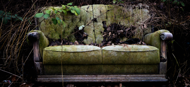 An old sofa covered in moss and plants in a forest