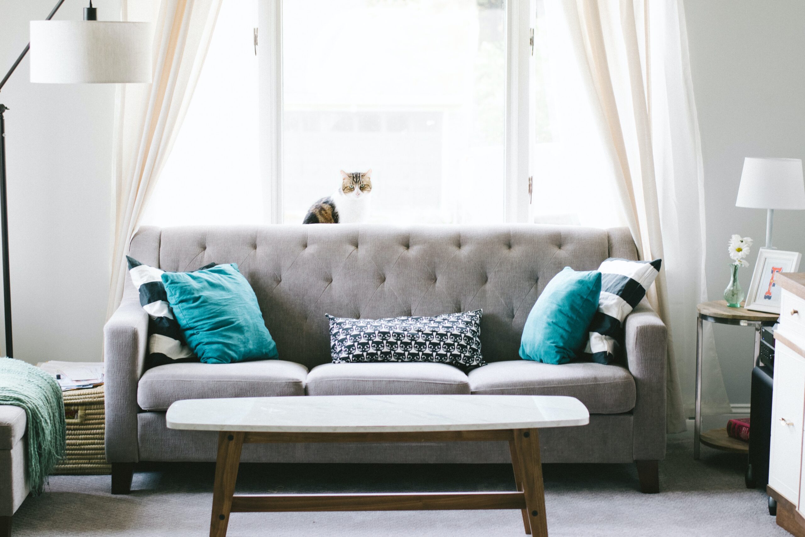 "How to Clean and Maintain Your Sofa for Longevity"